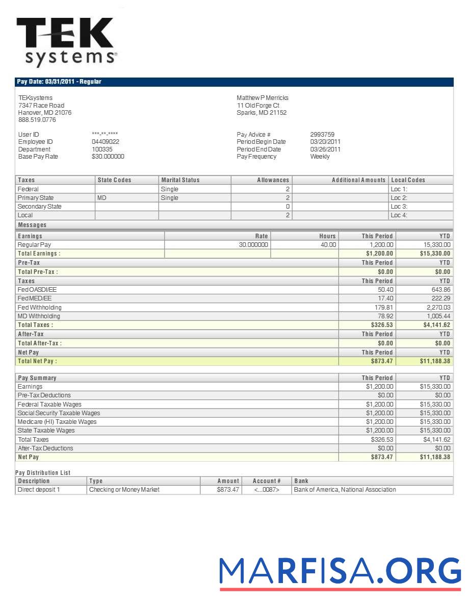 Realistic TEKsystems pay stub sample
